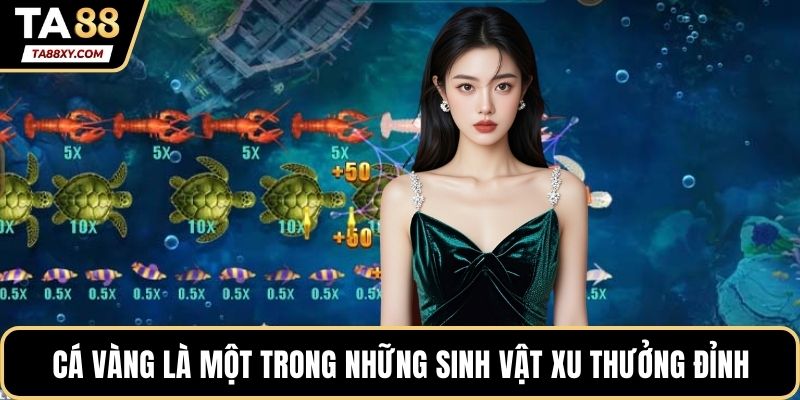 Cá vàng là một trong những sinh vật xu thưởng đỉnh