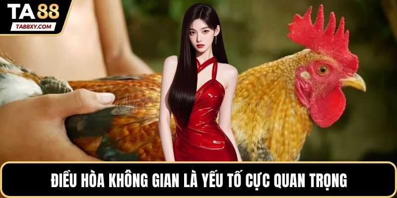 Điều hòa không gian là yếu tố cực quan trọng