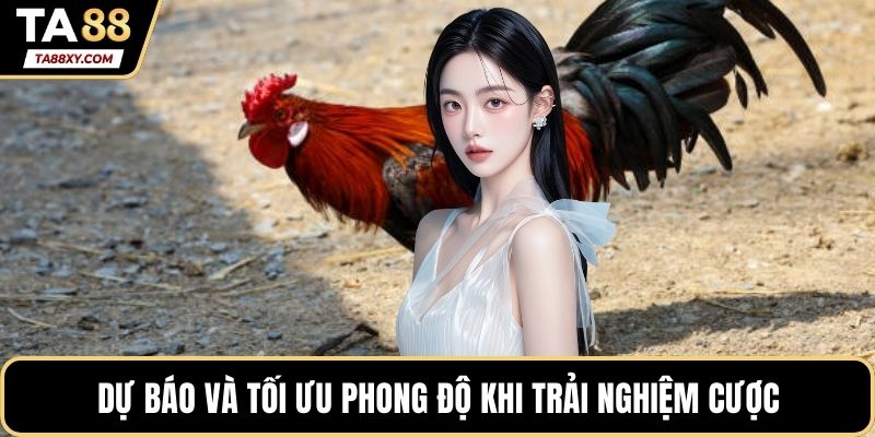 Dự báo và tối ưu phong độ khi trải nghiệm cược