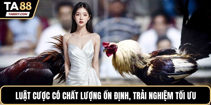 Luật cược có chất lượng ổn định, trải nghiệm tối ưu