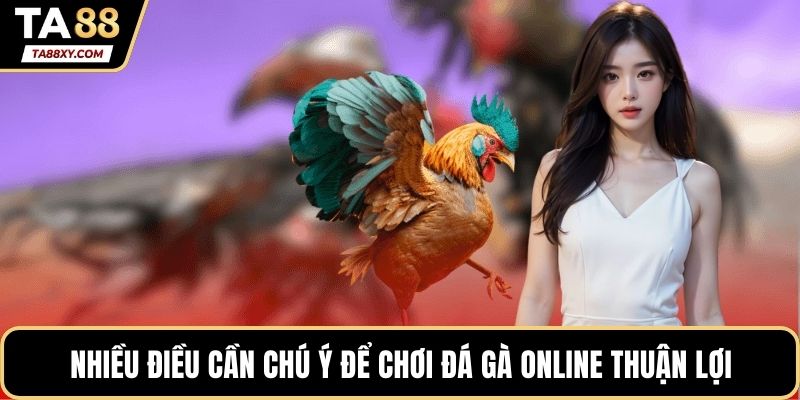Nhiều điều cần chú ý để chơi đá gà online thuận lợi