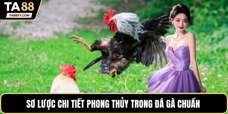 Sơ lược chi tiết phong thủy trong đá gà chuẩn 