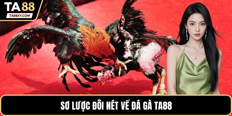 Sơ lược đôi nét về đá gà TA88