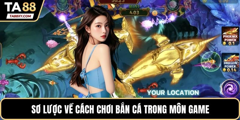 Sơ lược về cách chơi bắn cá trong môn game