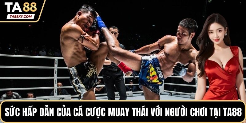 Sức hấp dẫn của cá cược Muay Thái đối với người chơi tại TA88