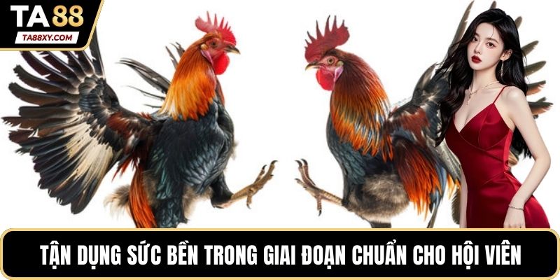 Tận dụng sức bền trong giai đoạn chuẩn cho hội viên