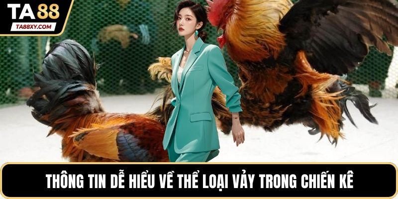 Thông tin dễ hiểu về thể loại vảy trong chiến kê
