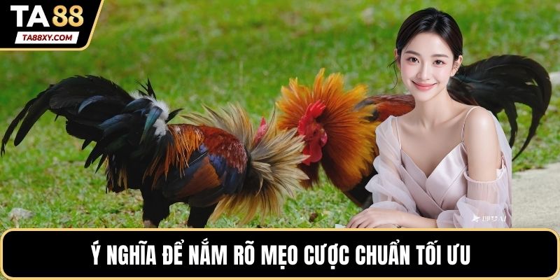 Ý nghĩa để nắm rõ mẹo cược chuẩn tối ưu